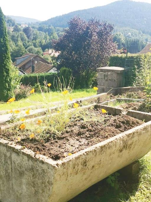 Gite ~ Clairefontaine Cornimont Luaran gambar